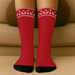 2_1_07cc7022 9edf 49e6 a8f6 0d1fef2d2b44